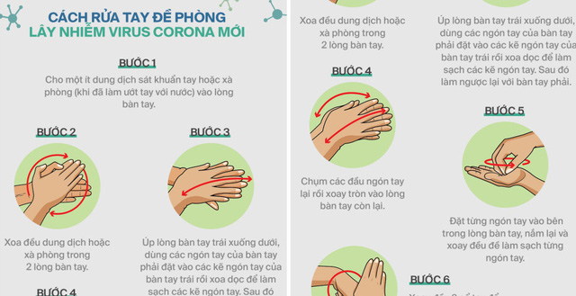 cung con phong ngua dich viem phoi 02